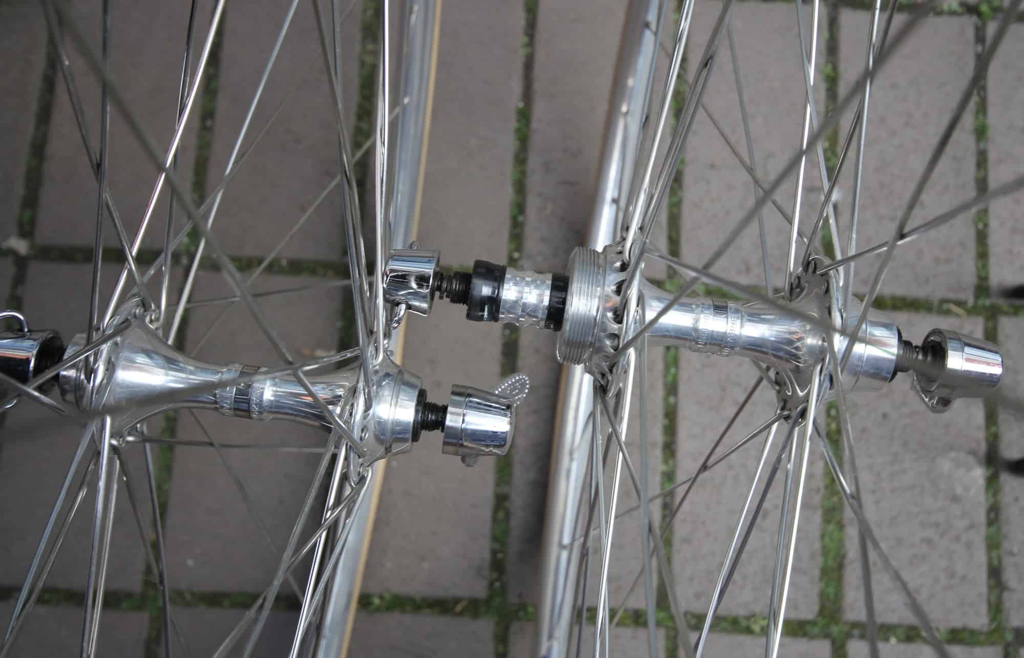 campagnolo 160mm rotor