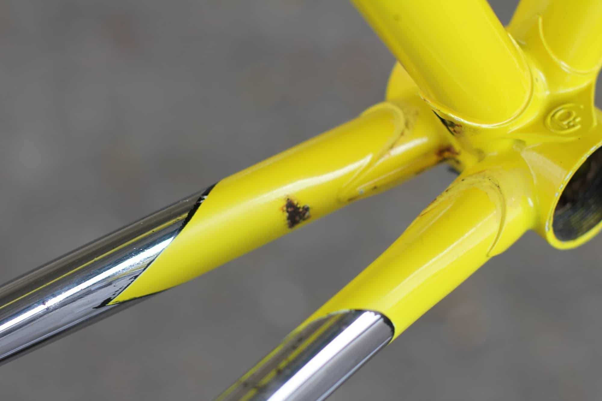 Pinarello Vuelta Frame / 56 cm / Yellow / Columbus ARX