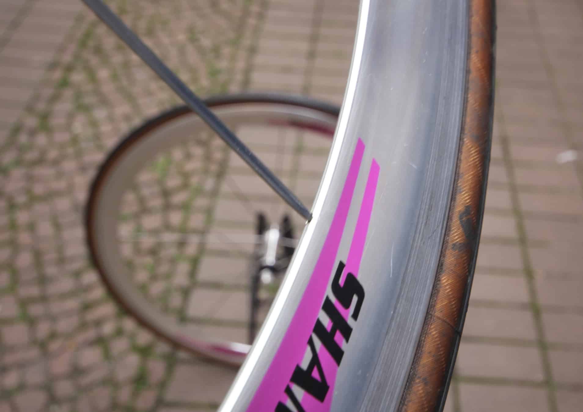 Campagnolo Shamal 12-HPW 8sロード用 後輪ホイール Campagnolo Shamal 12 HPW Wheelset / 8 Sp EXA / Clincher