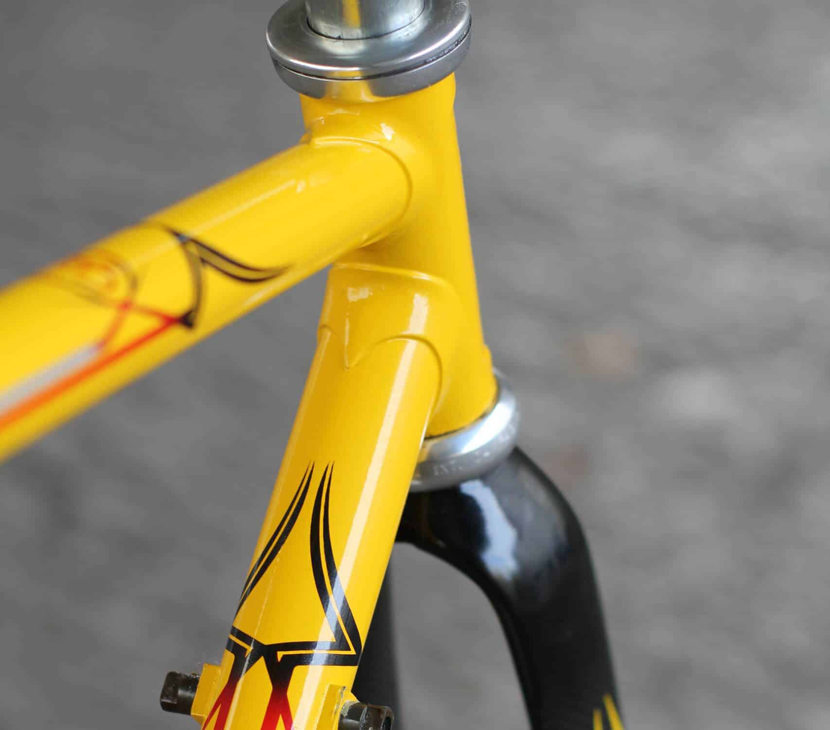 Eddy Merckx Corsa Extra Columbus SLX Frame / 49 cm / Carbon Fork