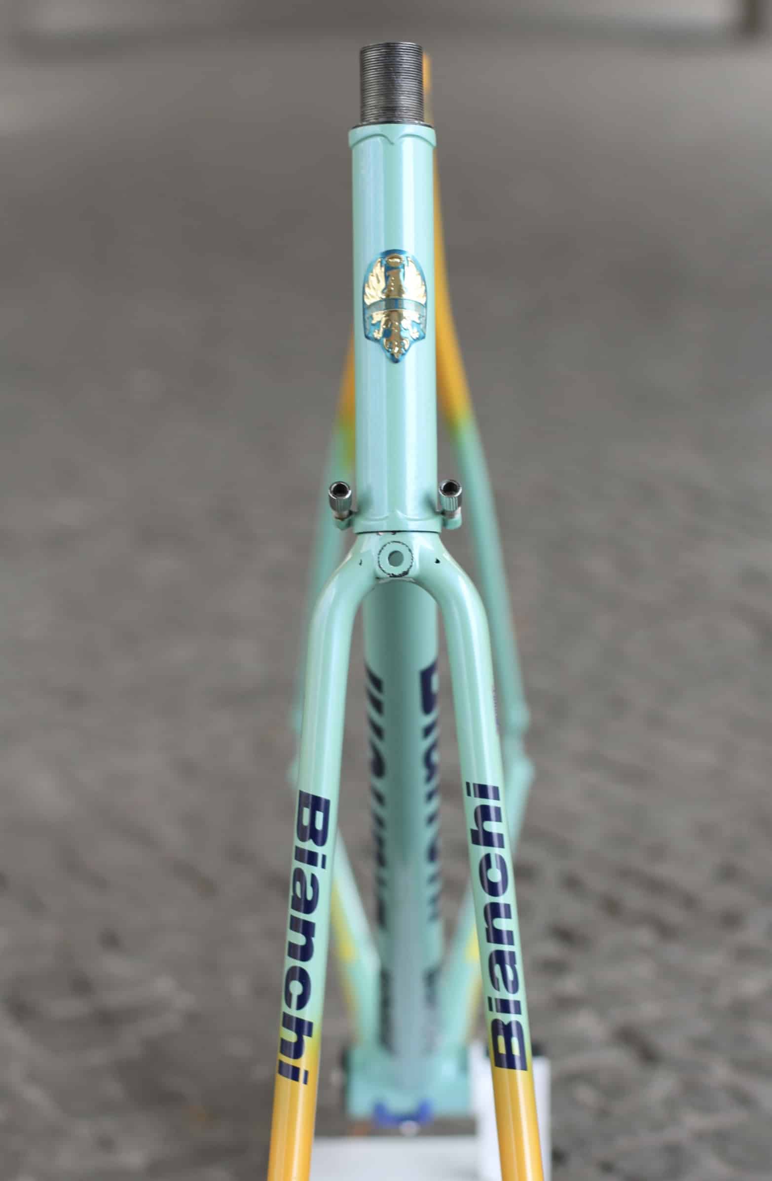 Bianchi Mega Pro XL Frame / 56 cm / Mercatone Uno / Boron Steel