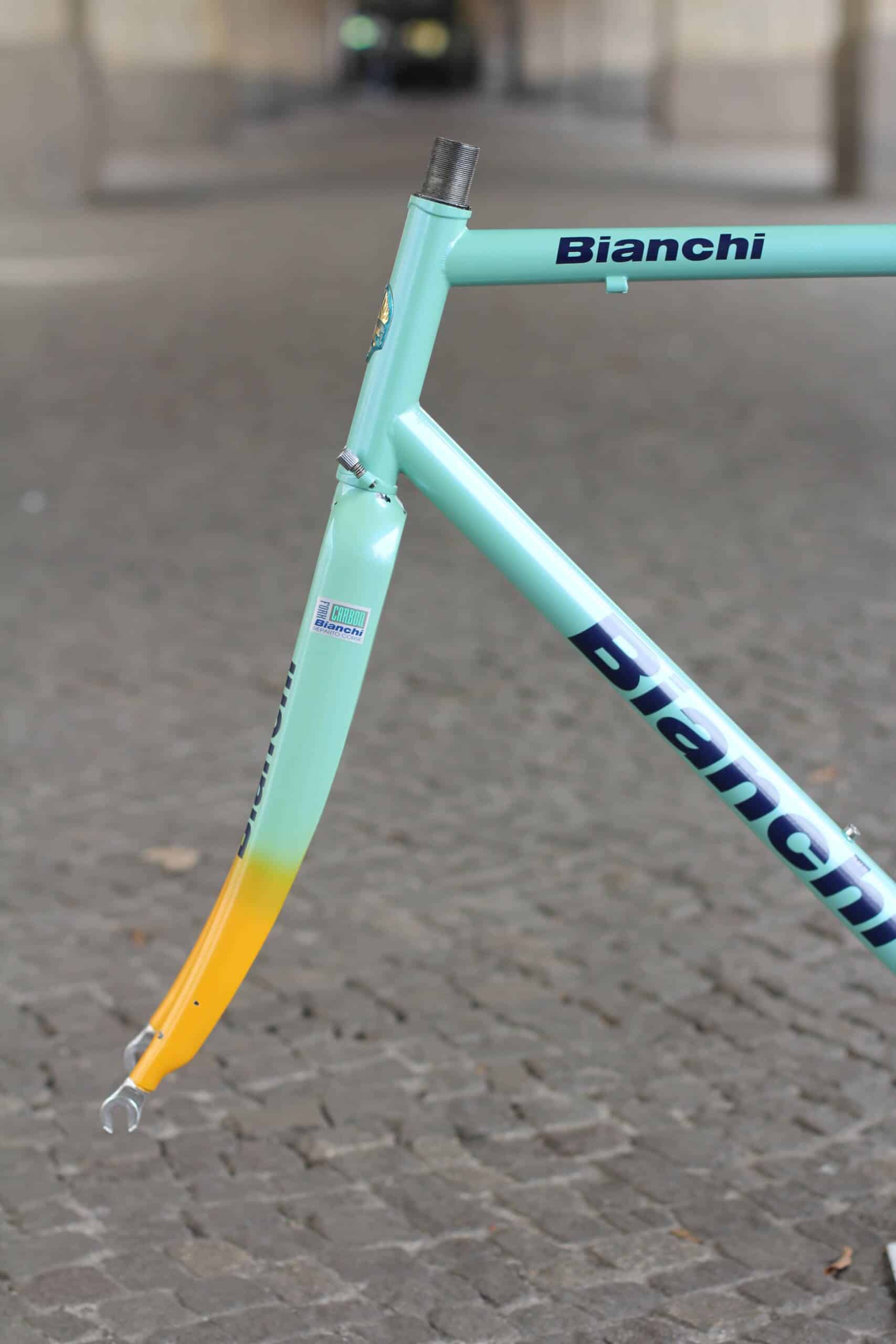 Bianchi Mega Pro XL Frame / 56 cm / Mercatone Uno / Boron Steel