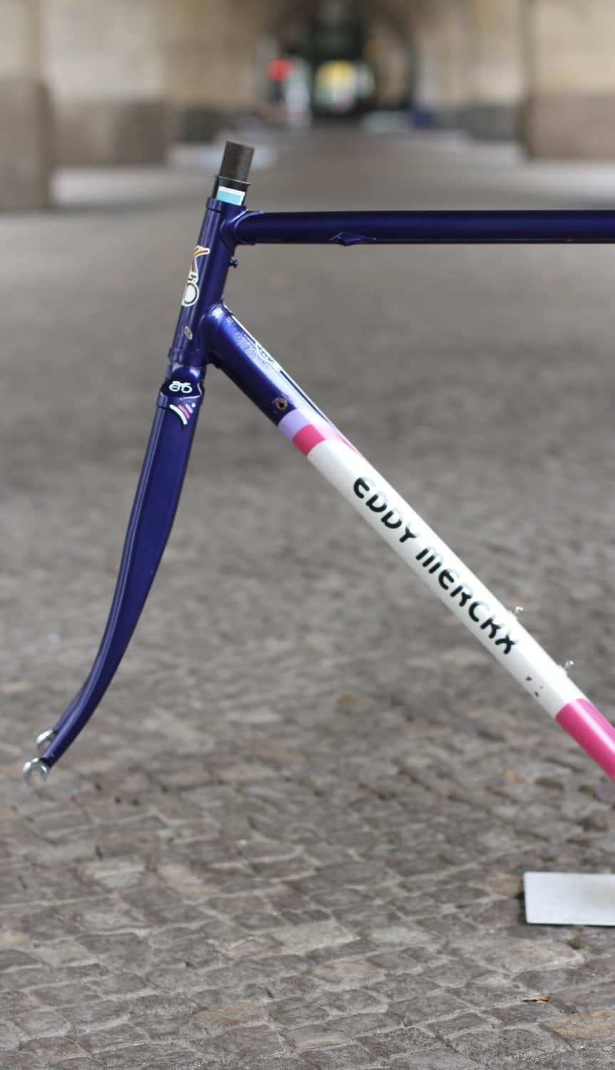 Eddy Merckx MX Leader Frame / 55 cm / Magenta Blue