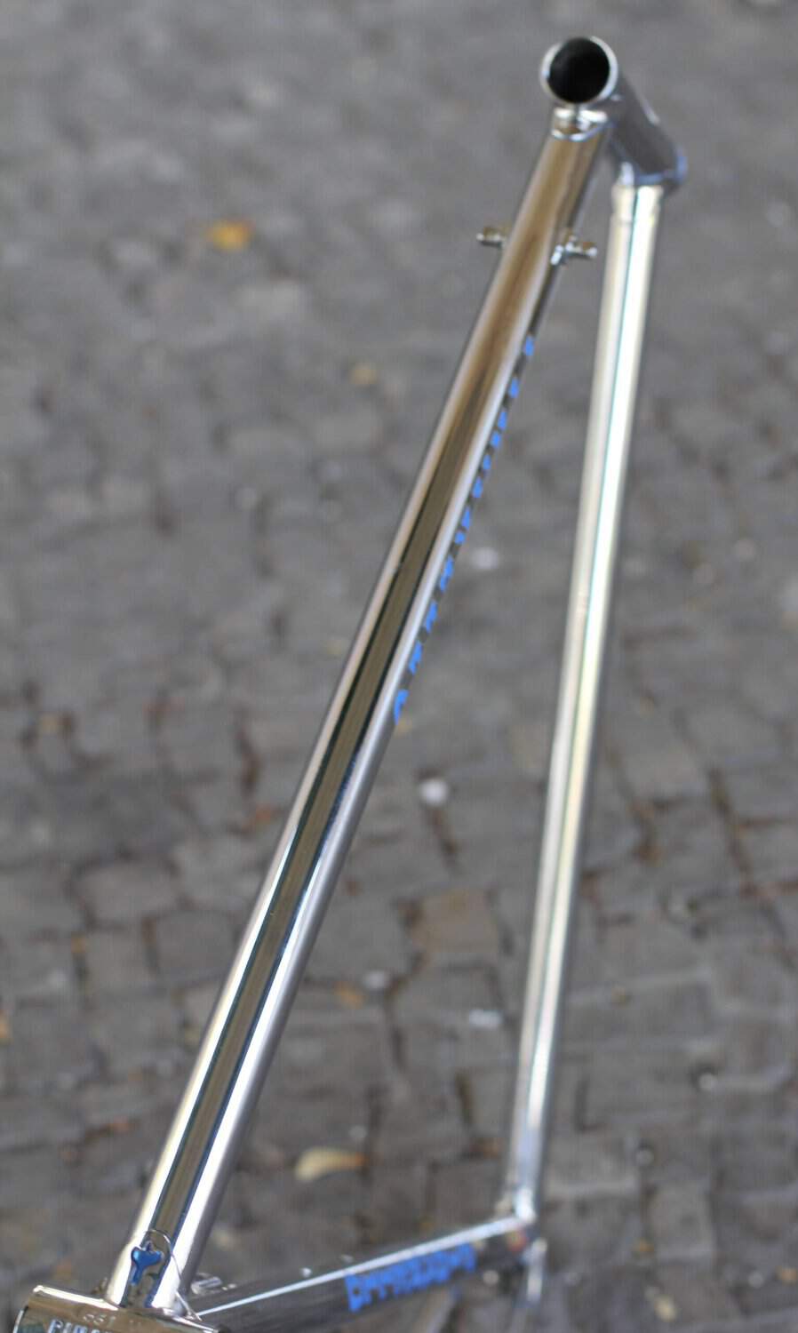 Pinarello Gavia Frame / 60,5 cm / Full Chromed