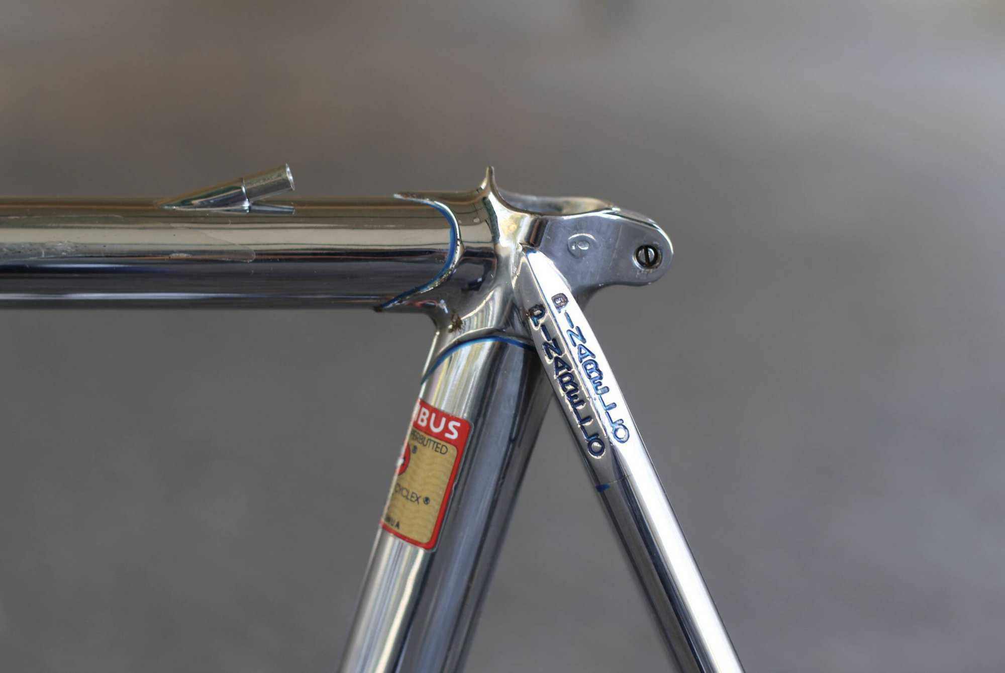 Pinarello Gavia Frame / 60,5 cm / Full Chromed
