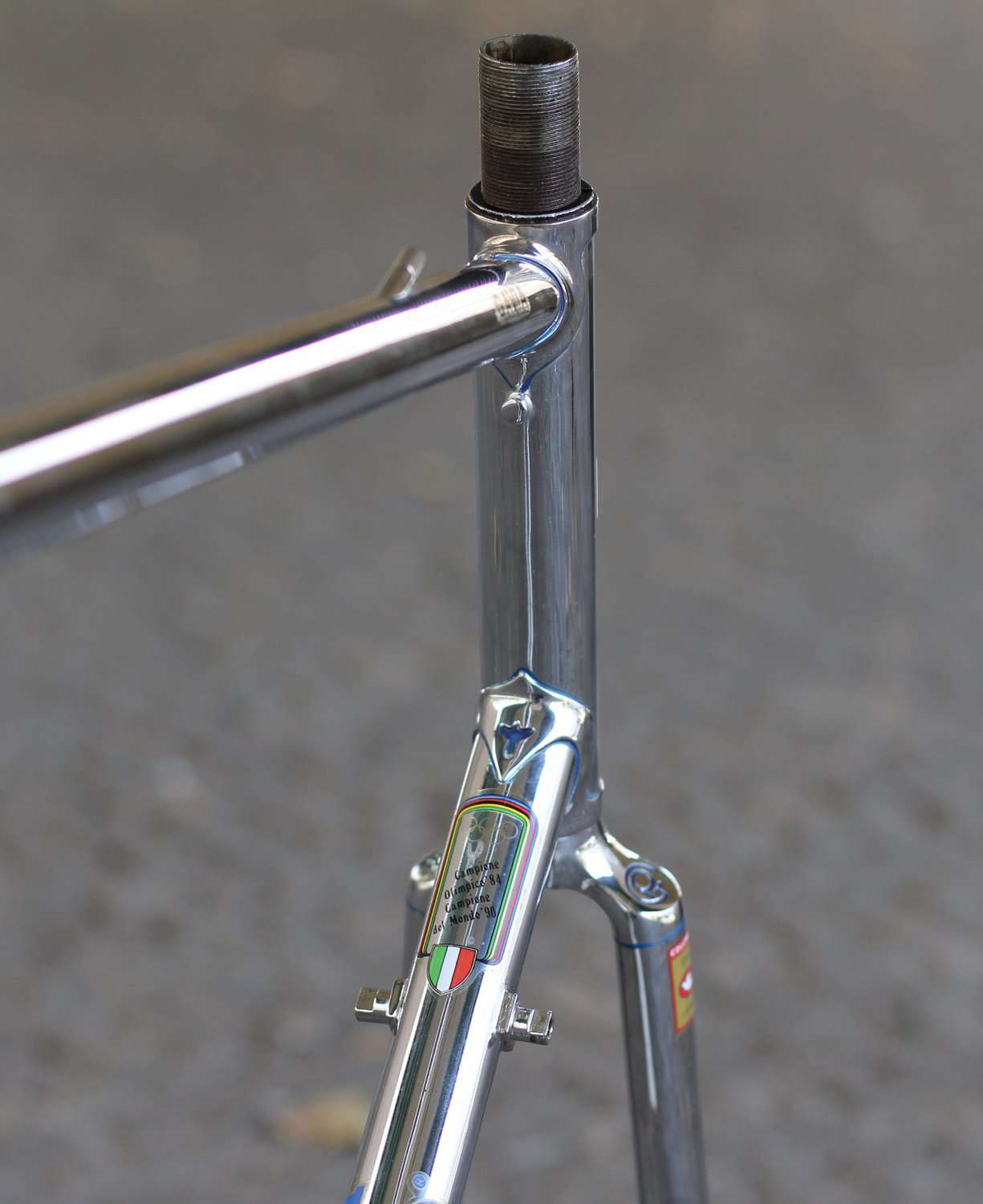 Pinarello Gavia Frame / 60,5 cm / Full Chromed