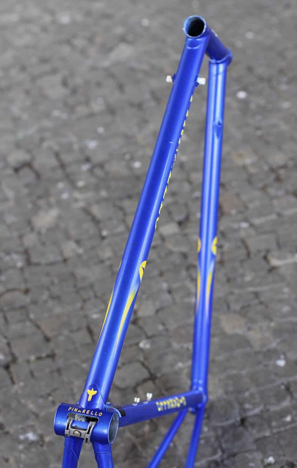 Pinarello Stelvio Frame / 60.5 cm / Azure Blue