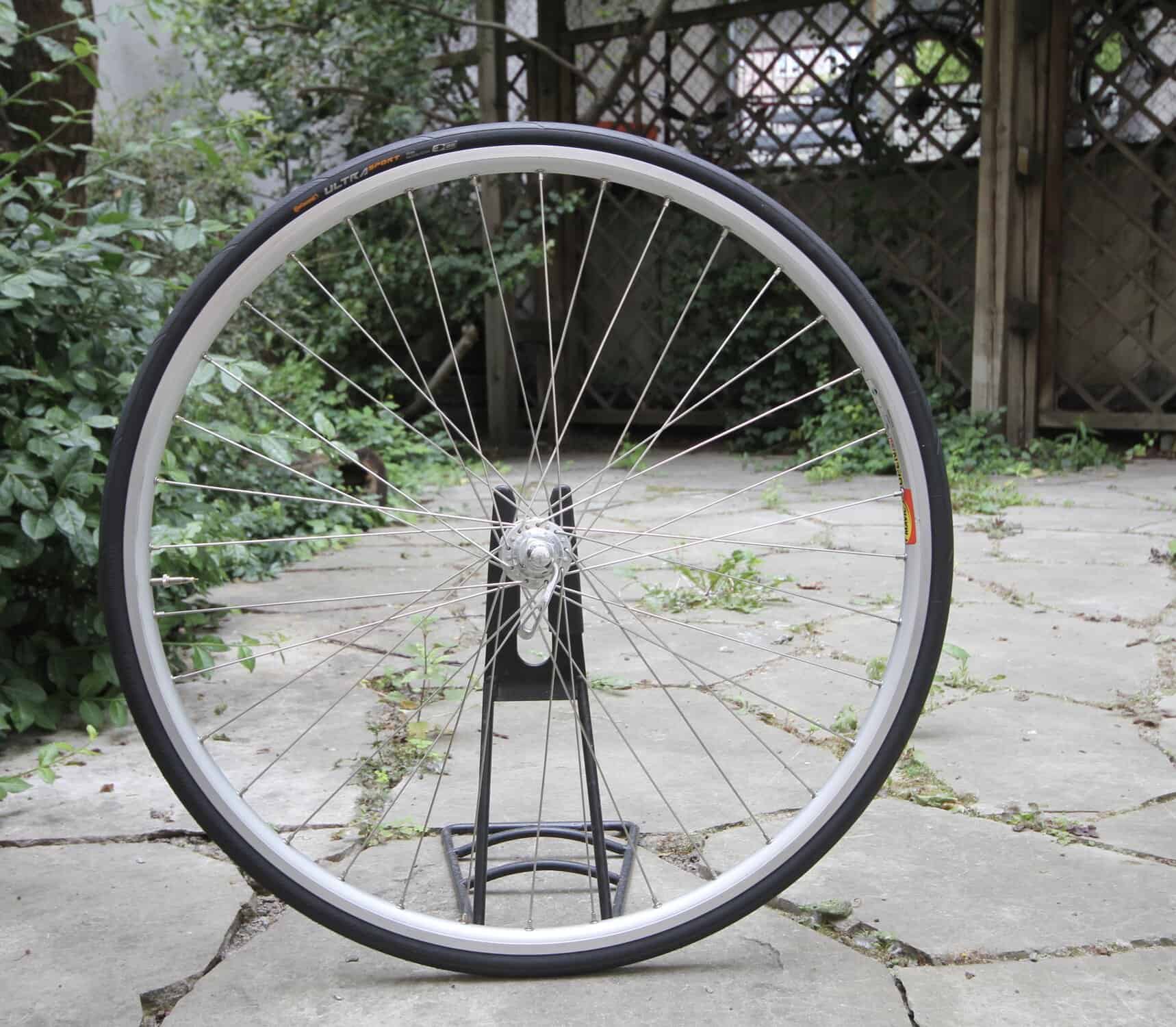 Campagnolo Record O.S. / Mavic Open Pro