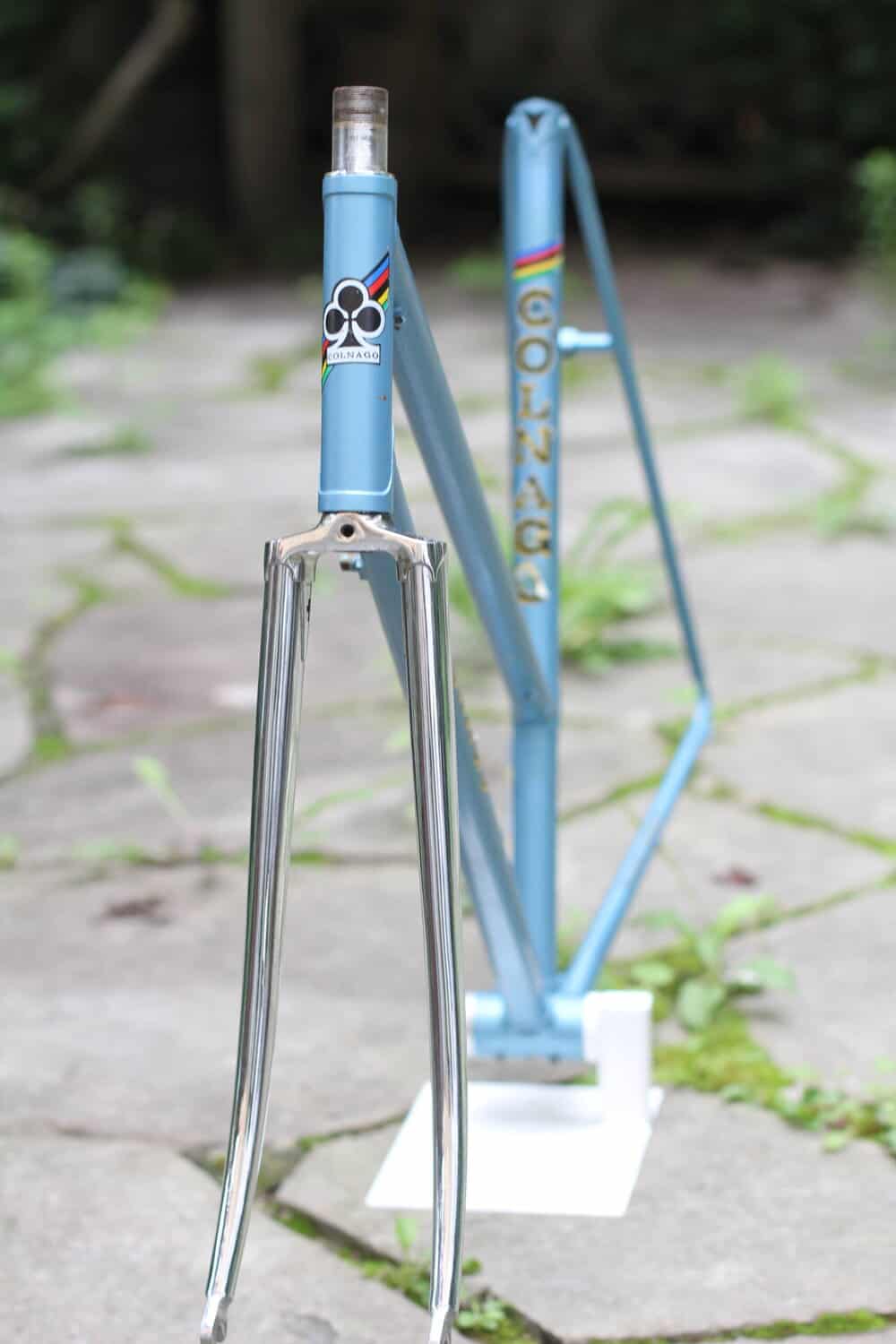 Colnago Super Donna Frame / 55.5 cm