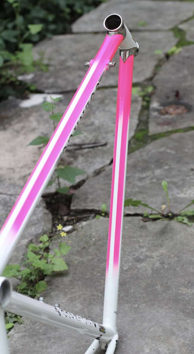 Colnago Master Piu Frame / 52.5 cm