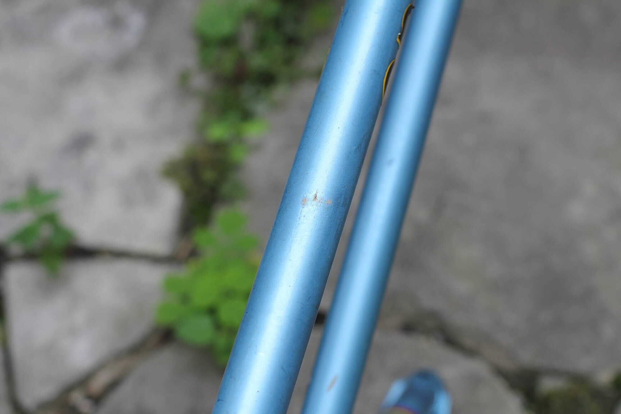 Colnago Super Donna Frame / 55.5 cm