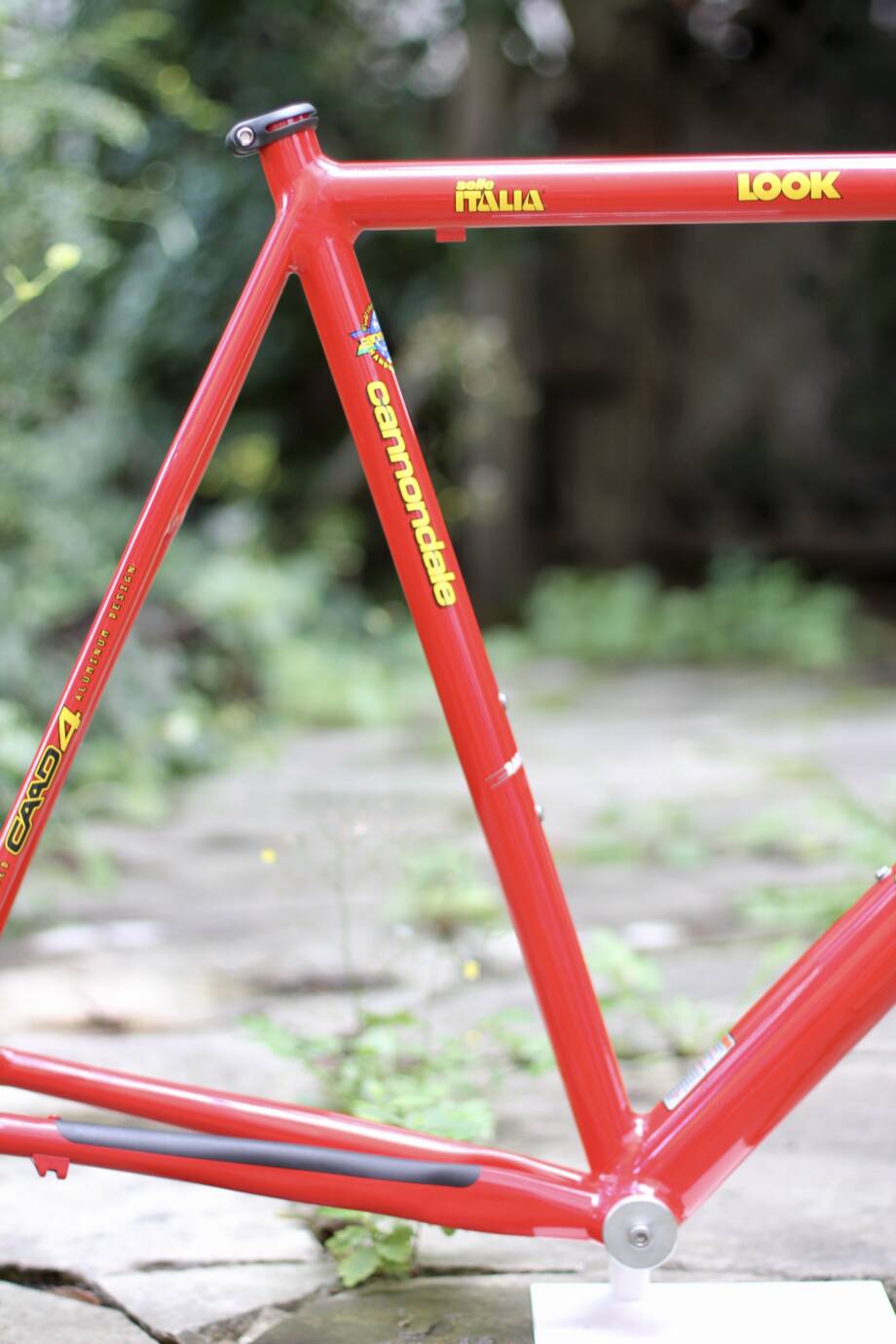 Cannondale Caad4 Frame / 58 cm / Team Saeco - velowizard.com
