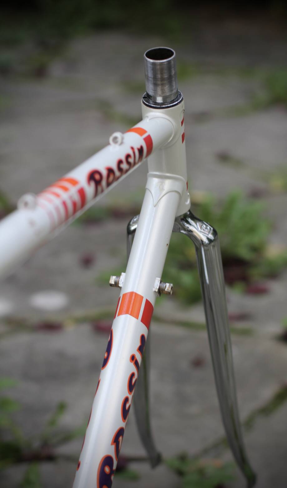 Rossin Record Frame / 51.5 cm - velowizard.com