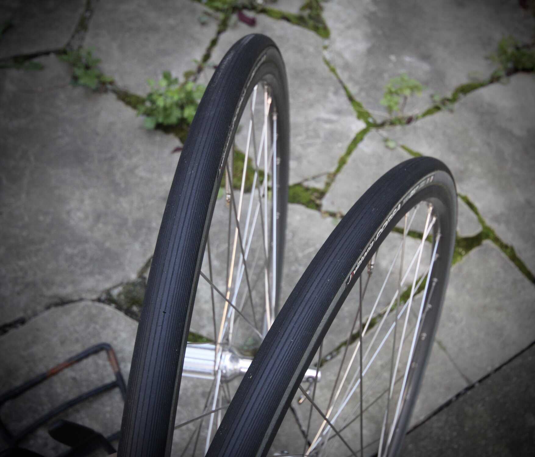 Campagnolo Record O.S. / Mavic Open Pro Ceramic