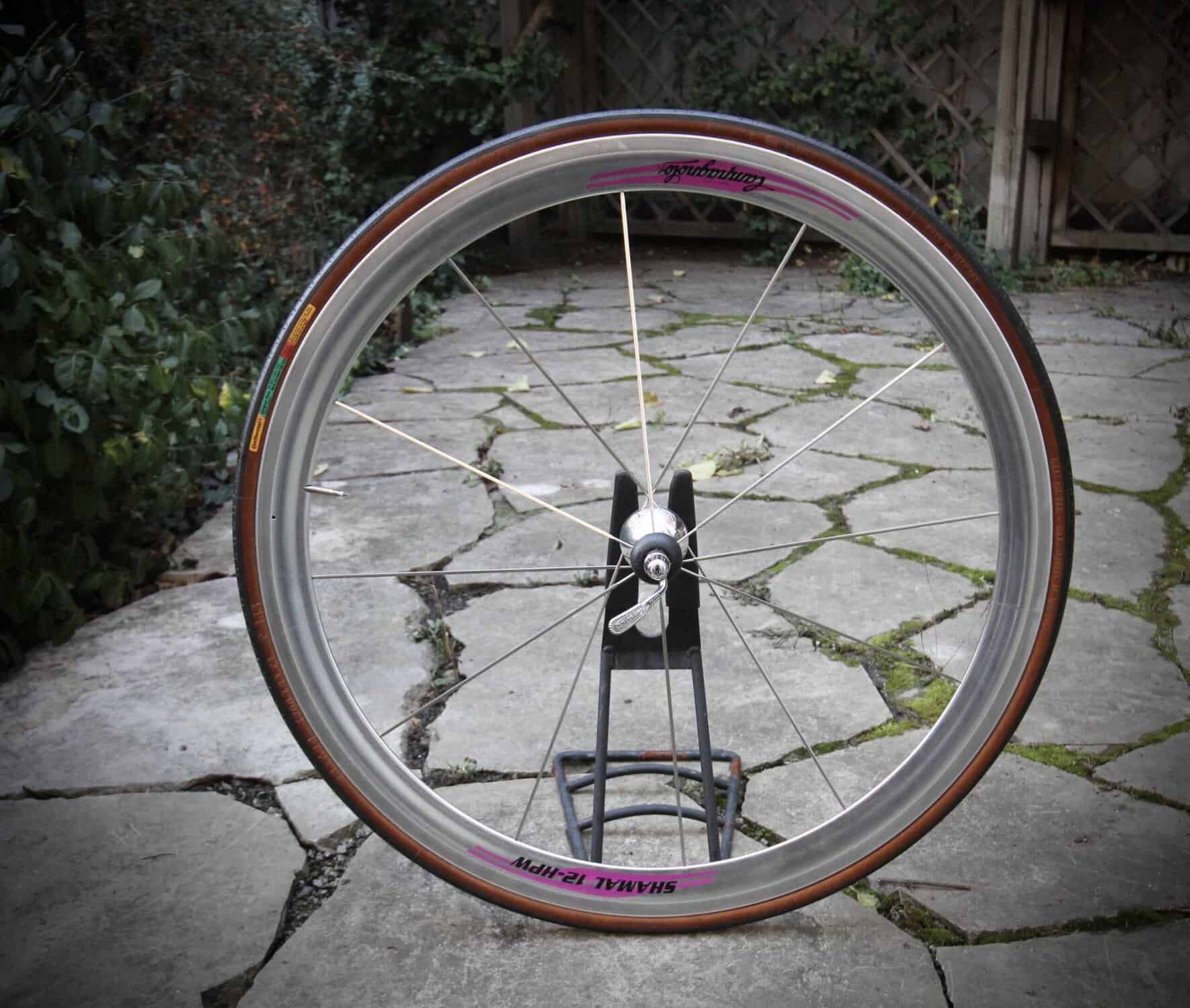 Campagnolo Shamal 12 HPW