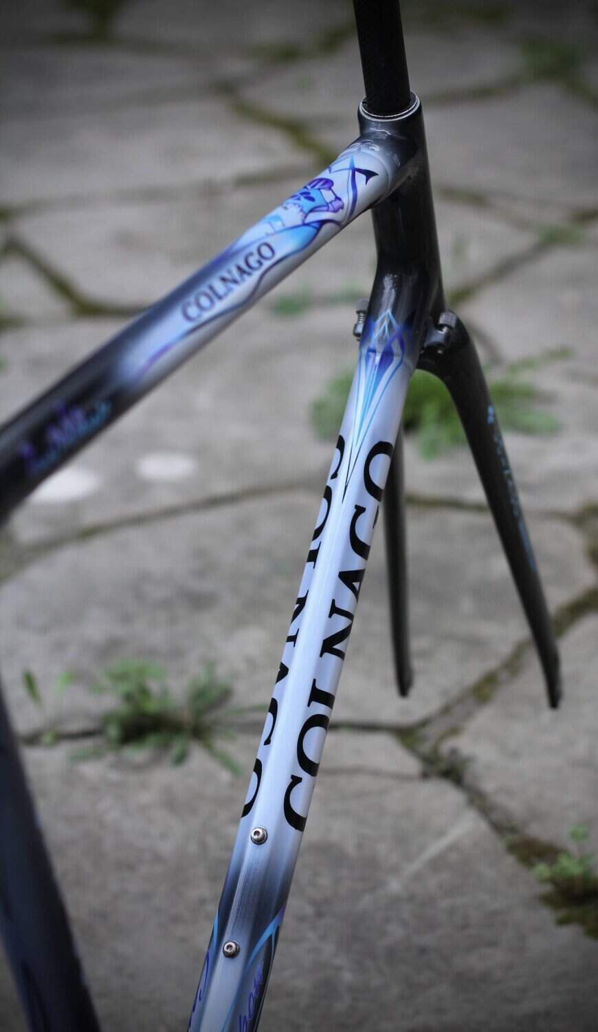 Colnago C40 Art Decor / 55 cm
