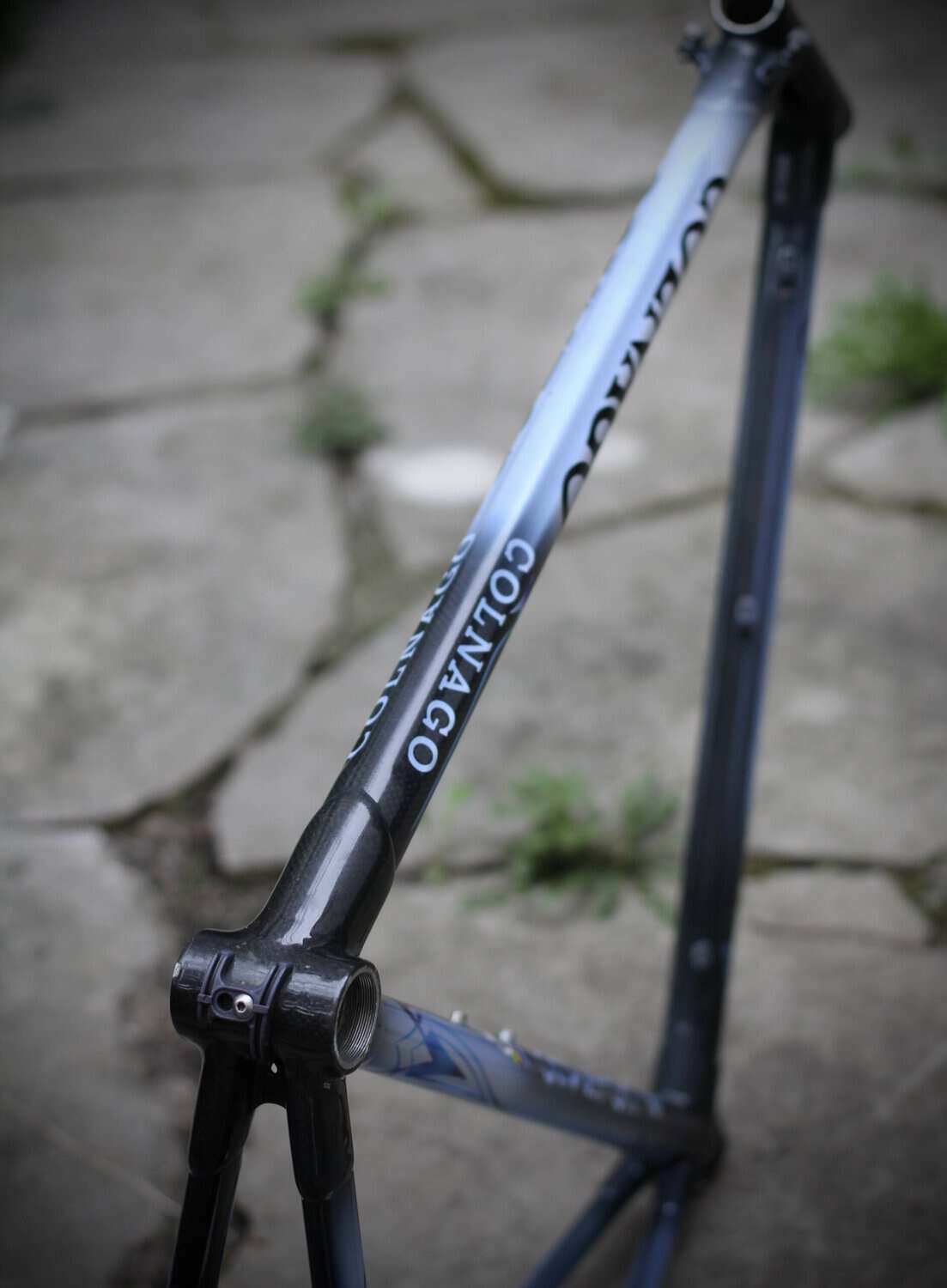 Colnago C40 Art Decor / 55 cm