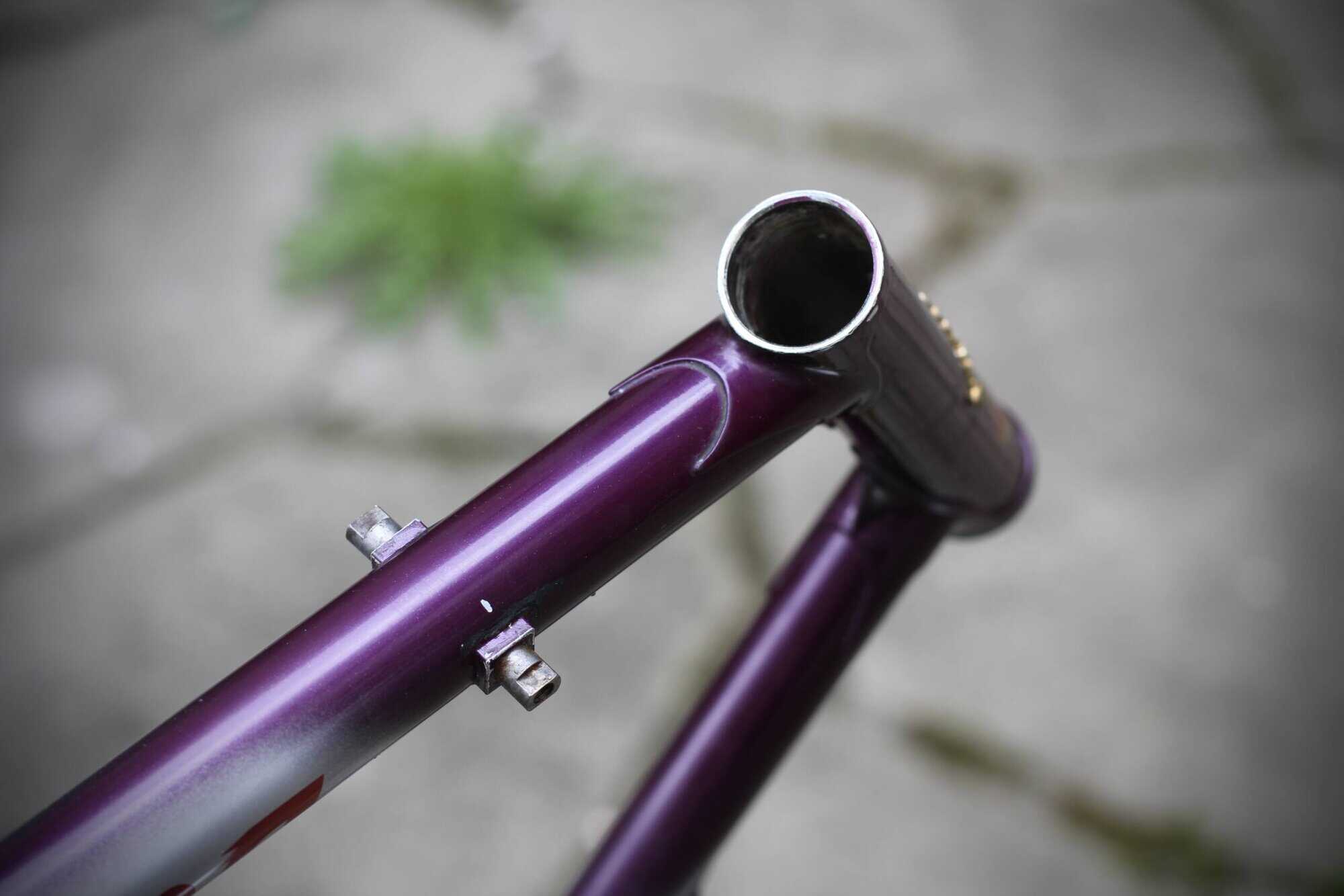 Daccordi Griffe Frame / 56 cm