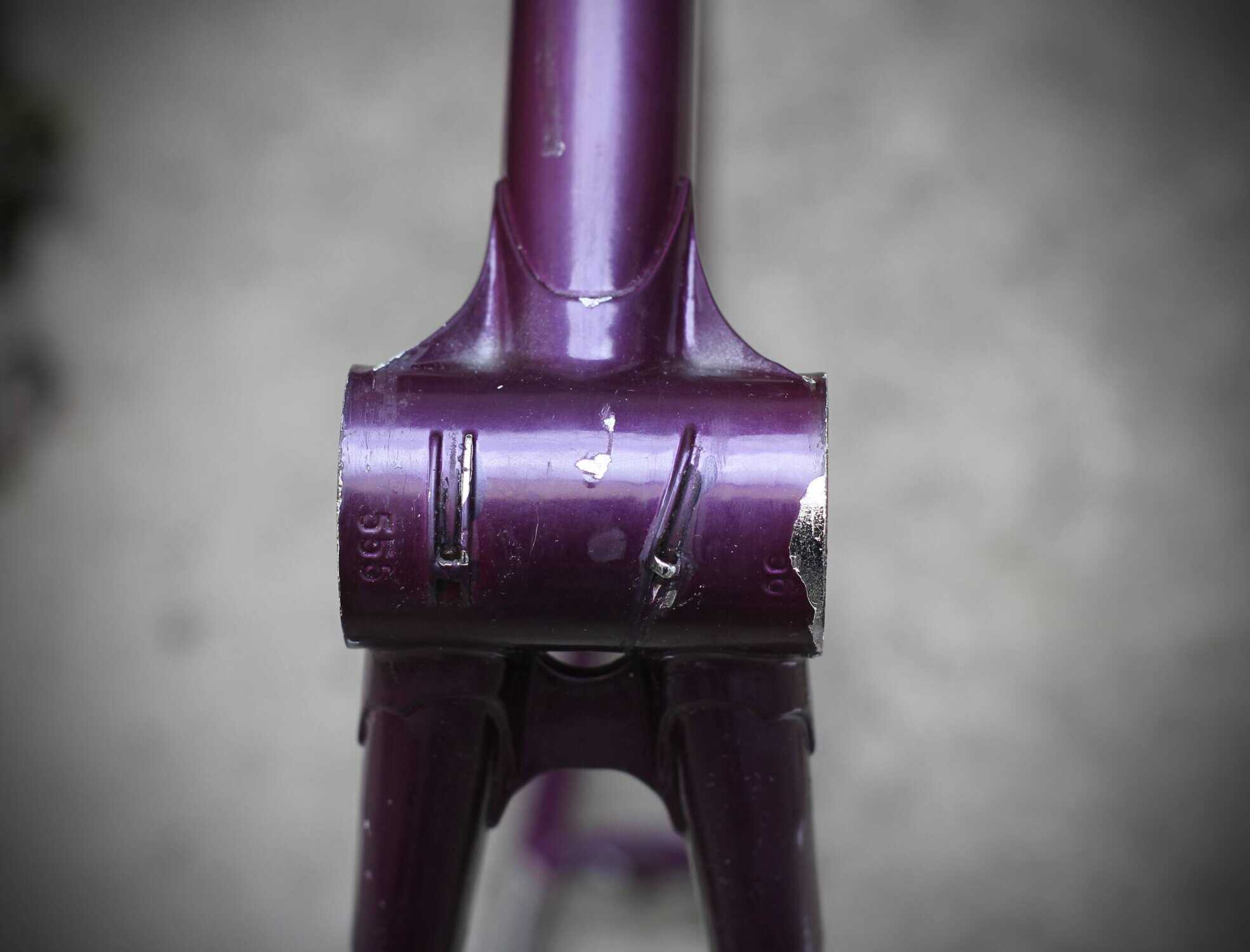 Daccordi Griffe Frame / 56 cm