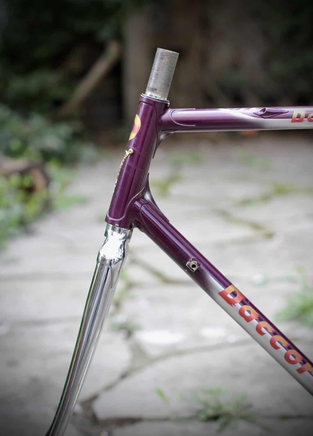 Daccordi Griffe Frame / 56 cm