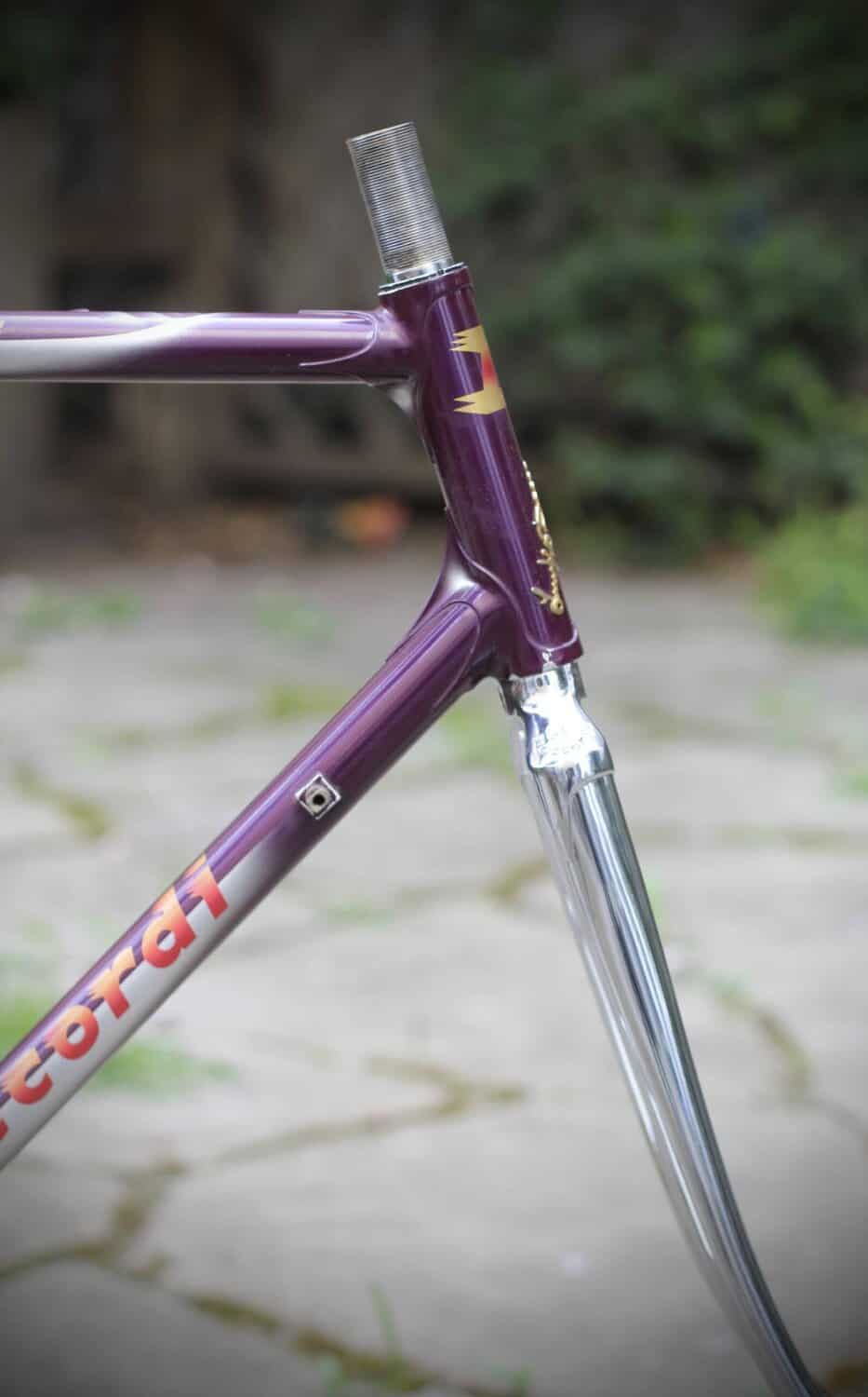 Daccordi Griffe Frame / 56 cm
