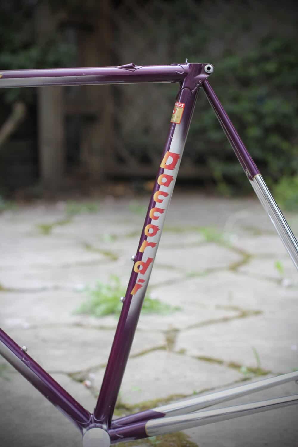 Daccordi Griffe Frame / 56 cm