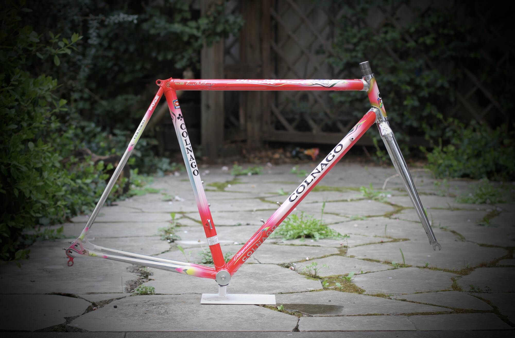 Colnago Master Olympic Frame / 53.5 cm - velowizard.com