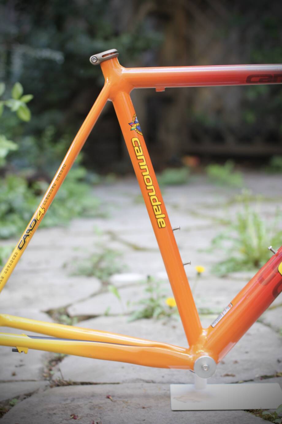 Cannondale Caad4 Frame / R4000 - velowizard.com
