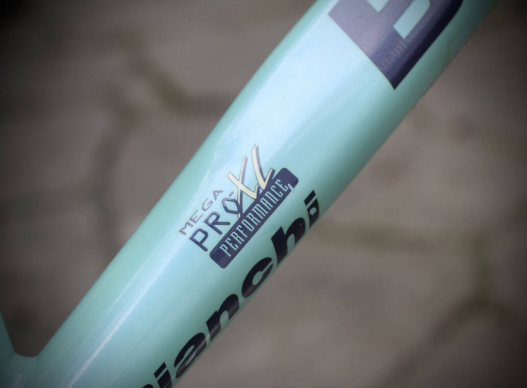 Bianchi Mega Pro XL Frame / 54 cm / Mercatone Uno