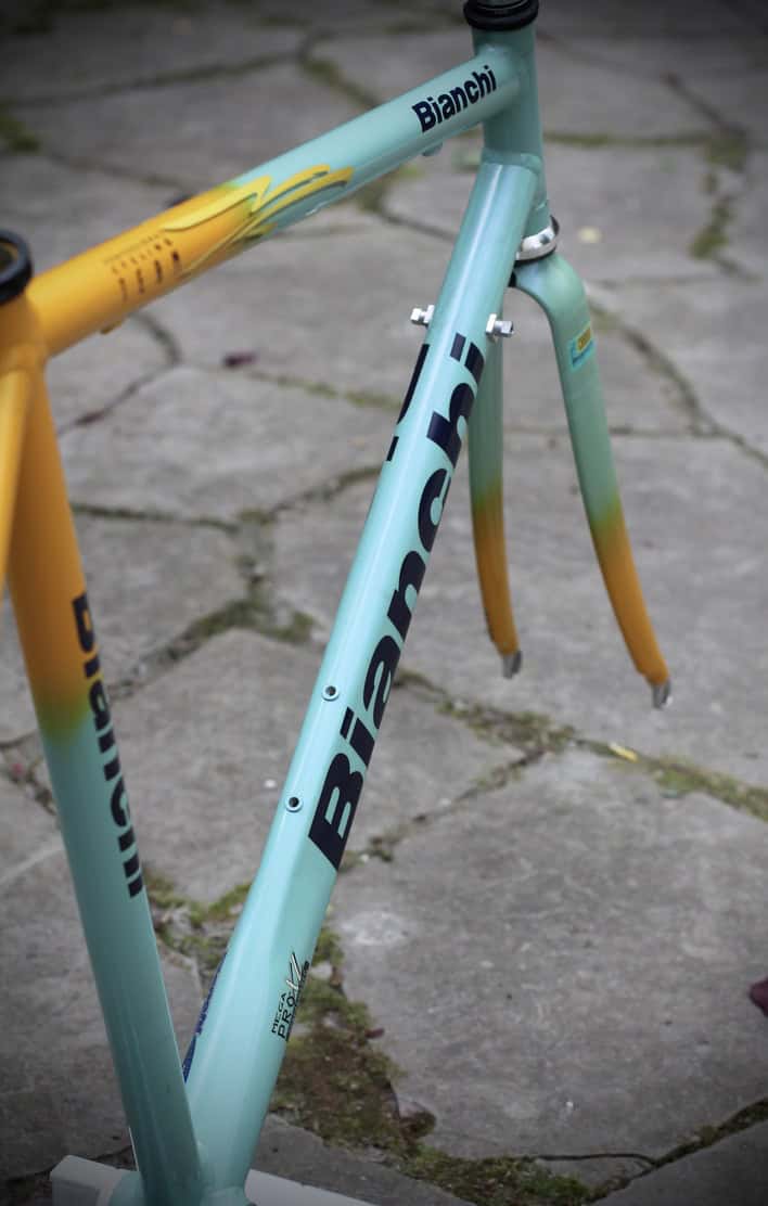 Bianchi Mega Pro XL Frame / 54 cm / Mercatone Uno