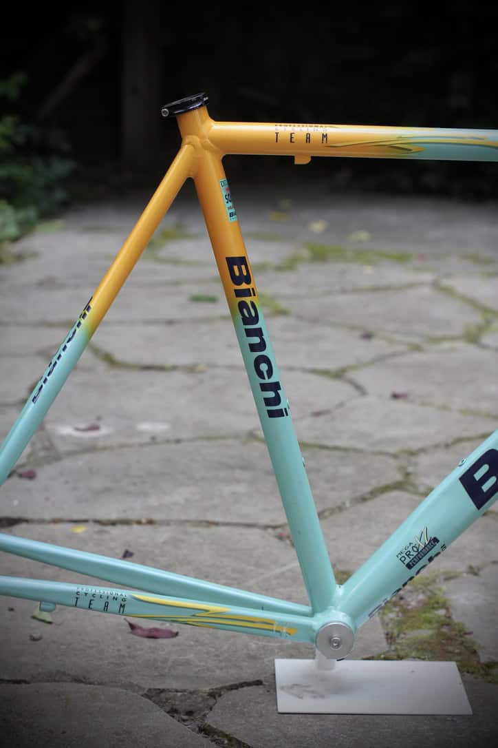 Bianchi Mega Pro XL Frame / 54 cm / Mercatone Uno
