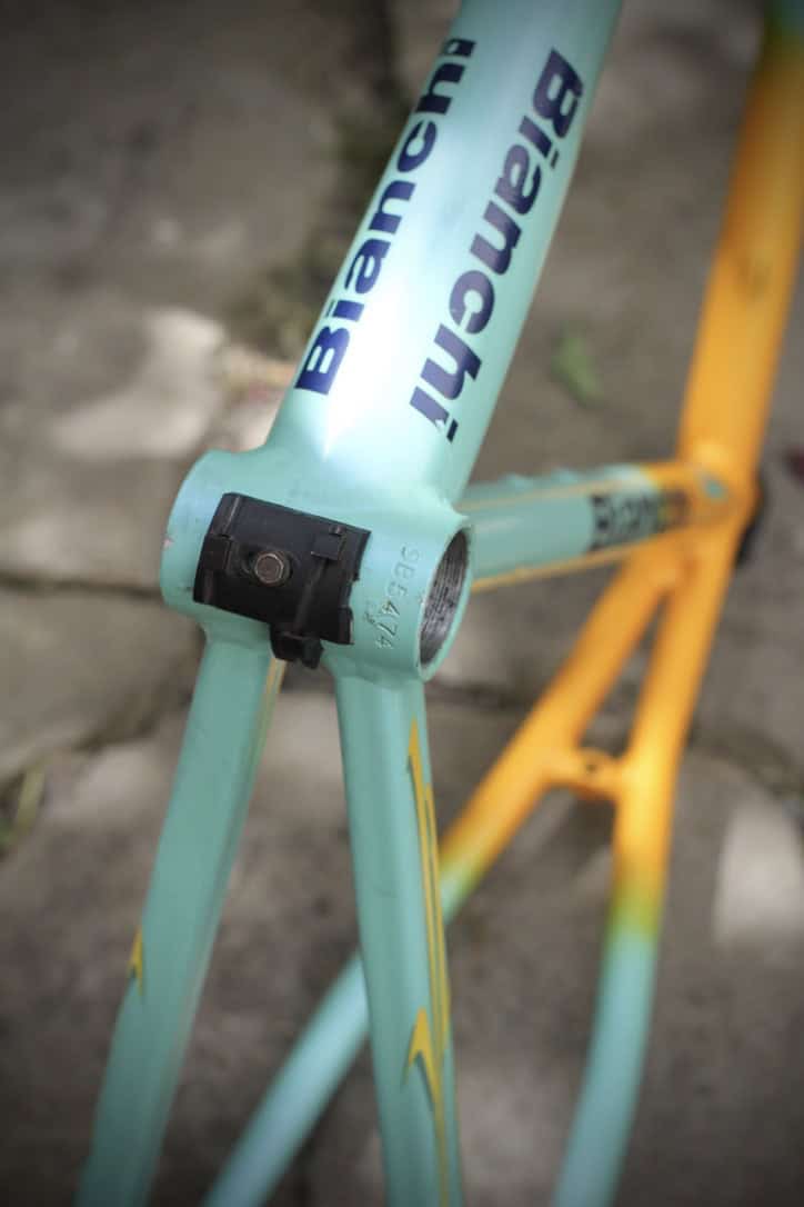 Bianchi Mega Pro XL Frame / 54 cm / Mercatone Uno