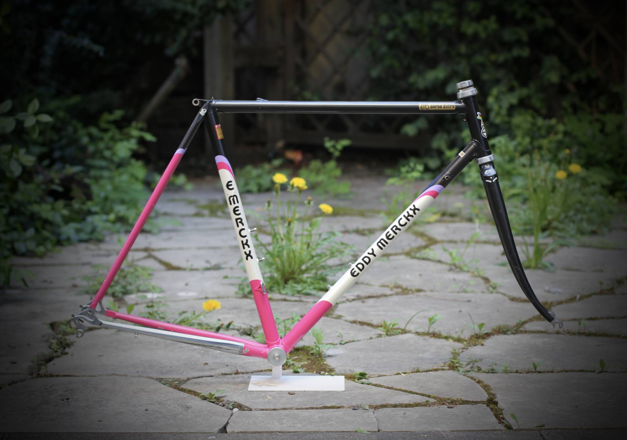 Eddy Merckx Corsa Extra Frame / 54 cm / Team Telekom - velowizard.com