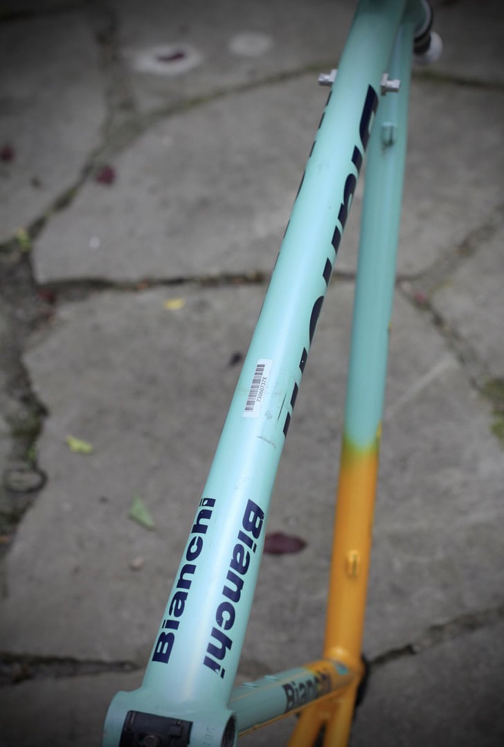 Bianchi Mega Pro XL Frame / 54 cm / Mercatone Uno