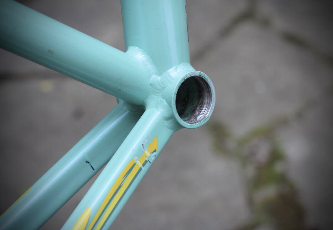 Bianchi Mega Pro XL Frame / 54 cm / Mercatone Uno