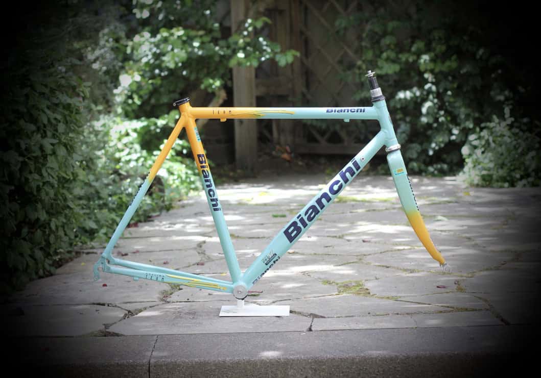 Bianchi Mega Pro XL Frame / 54 cm / Mercatone Uno