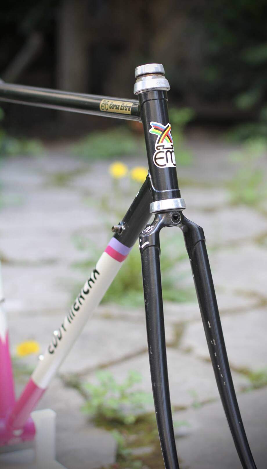 Eddy Merckx Corsa Extra Frame / 54 cm / Team Telekom - velowizard.com