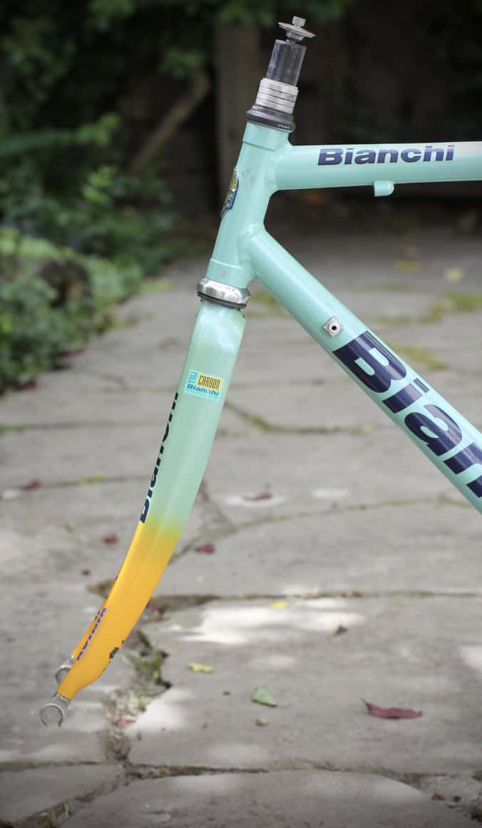 Bianchi Mega Pro XL Frame / 54 cm / Mercatone Uno