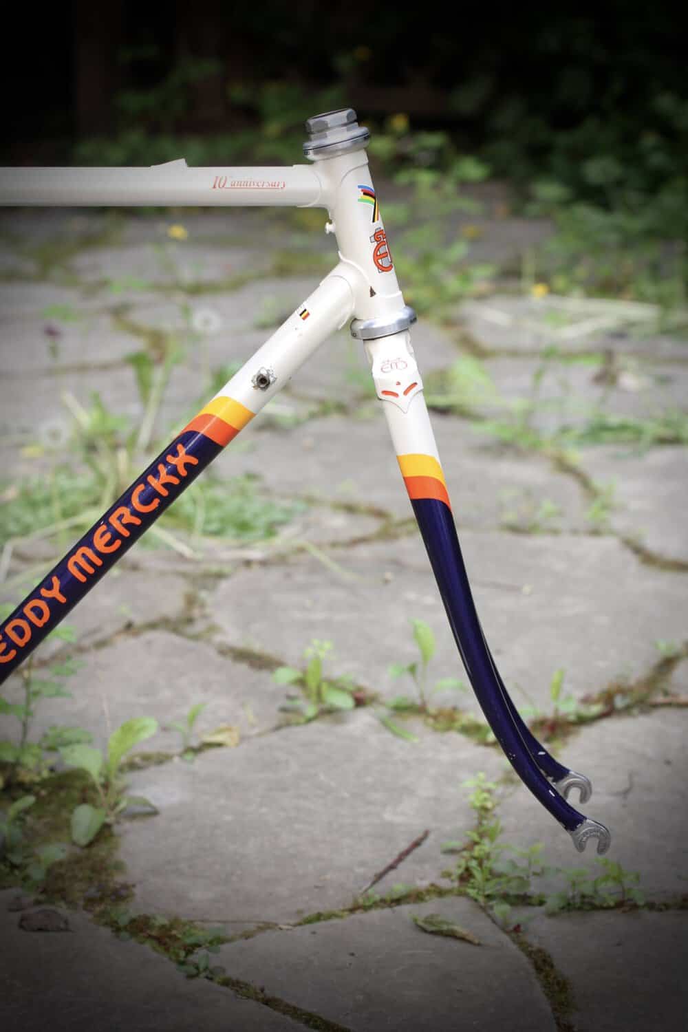 Eddy Merckx 10th Anniversary Frame / 52 cm