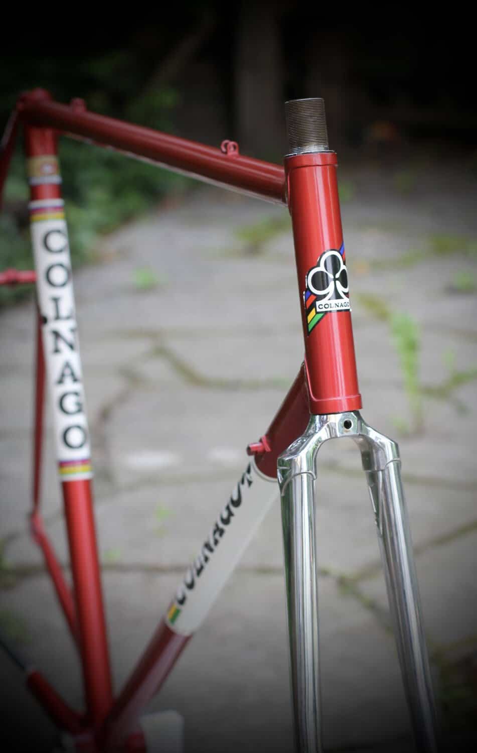 Colnago Super Frame / 58 cm