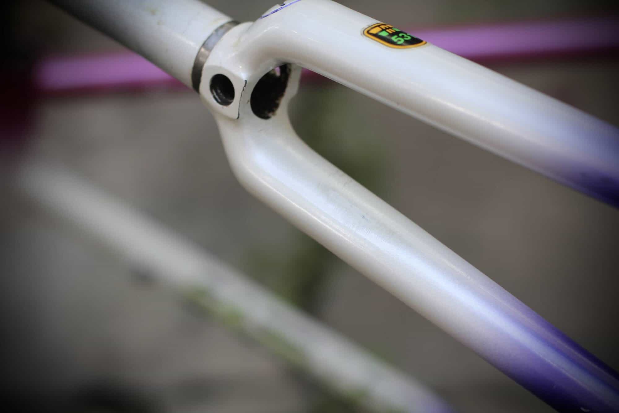 Gazelle Champion AA-Special Frame / 52.5 cm