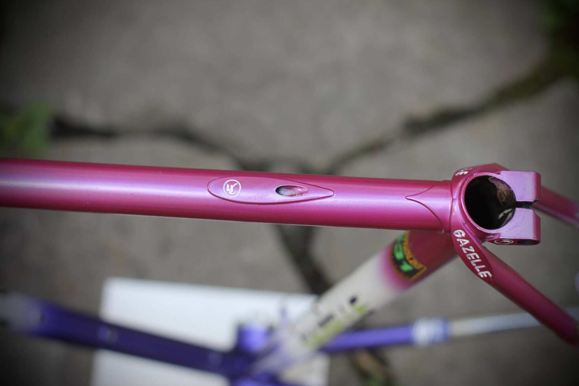 Gazelle Champion AA-Special Frame / 52.5 cm