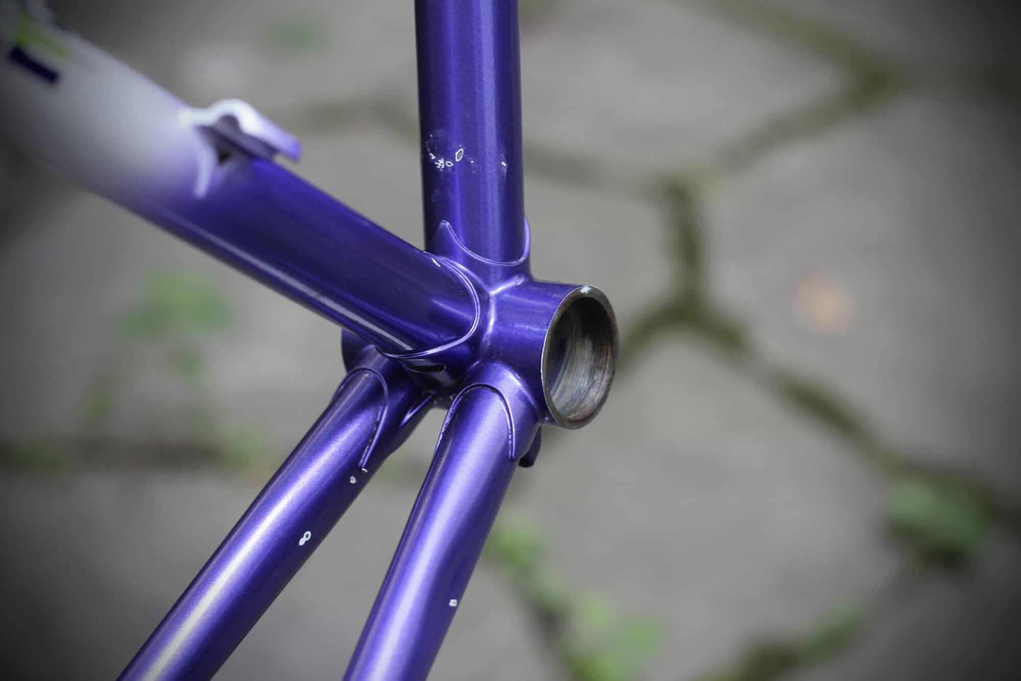 Gazelle Champion AA-Special Frame / 52.5 cm
