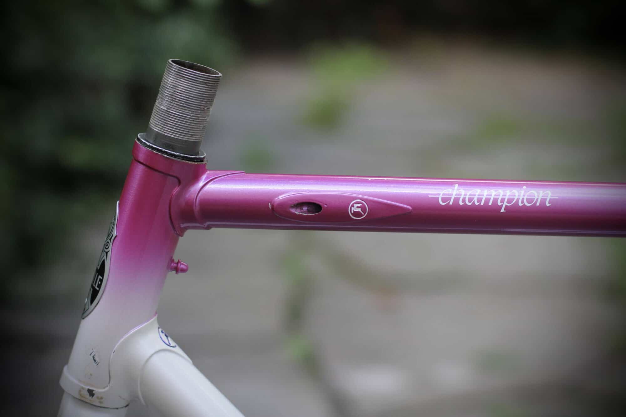 Gazelle Champion AA-Special Frame / 52.5 cm