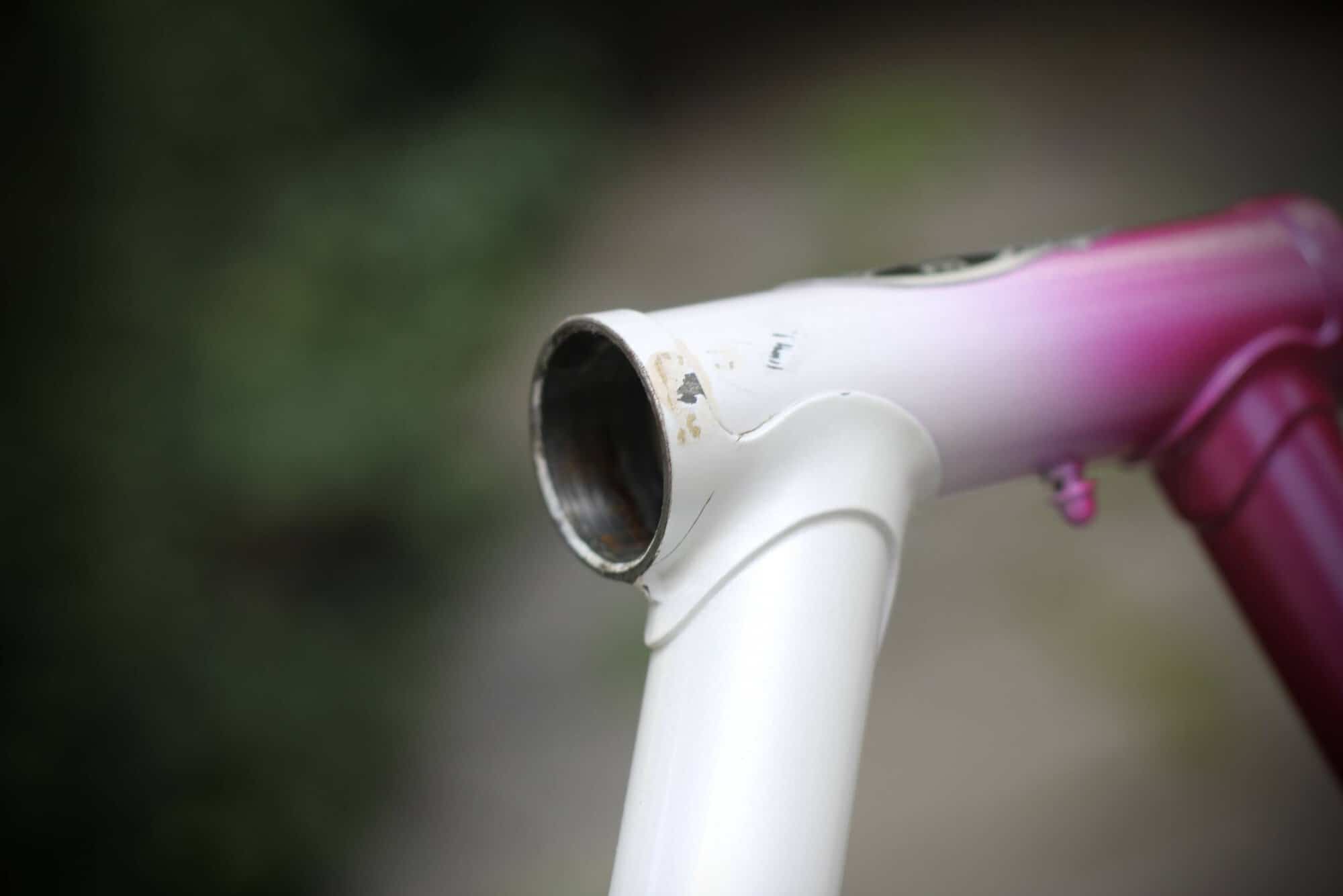 Gazelle Champion AA-Special Frame / 52.5 cm