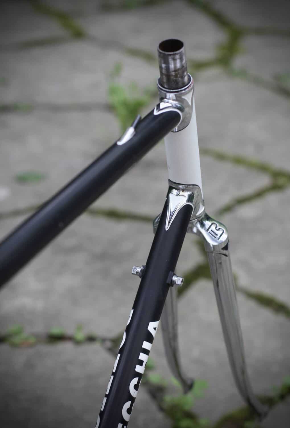 Bottecchia Carnielli Frame / 57 cm / Malvor