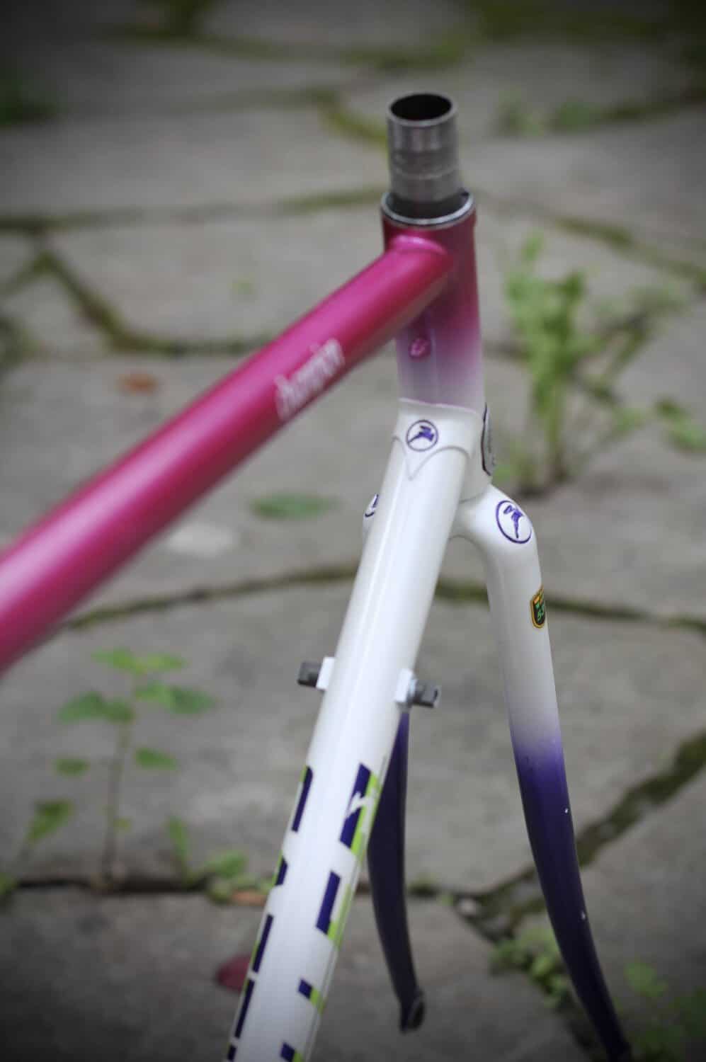 Gazelle Champion AA-Special Frame / 52.5 cm
