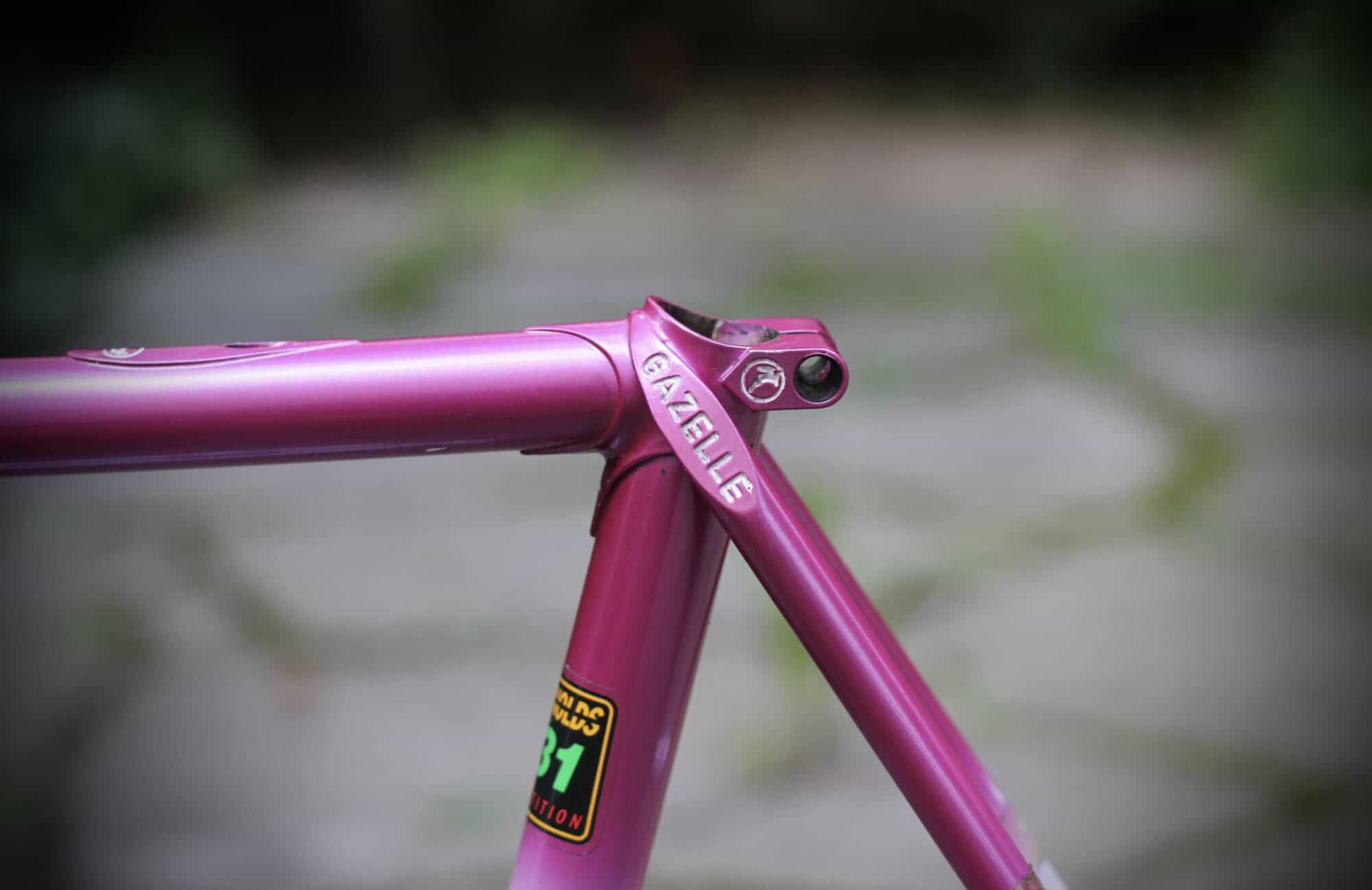 Gazelle Champion AA-Special Frame / 52.5 cm