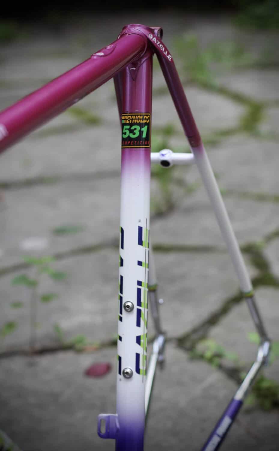 Gazelle Champion AA-Special Frame / 52.5 cm