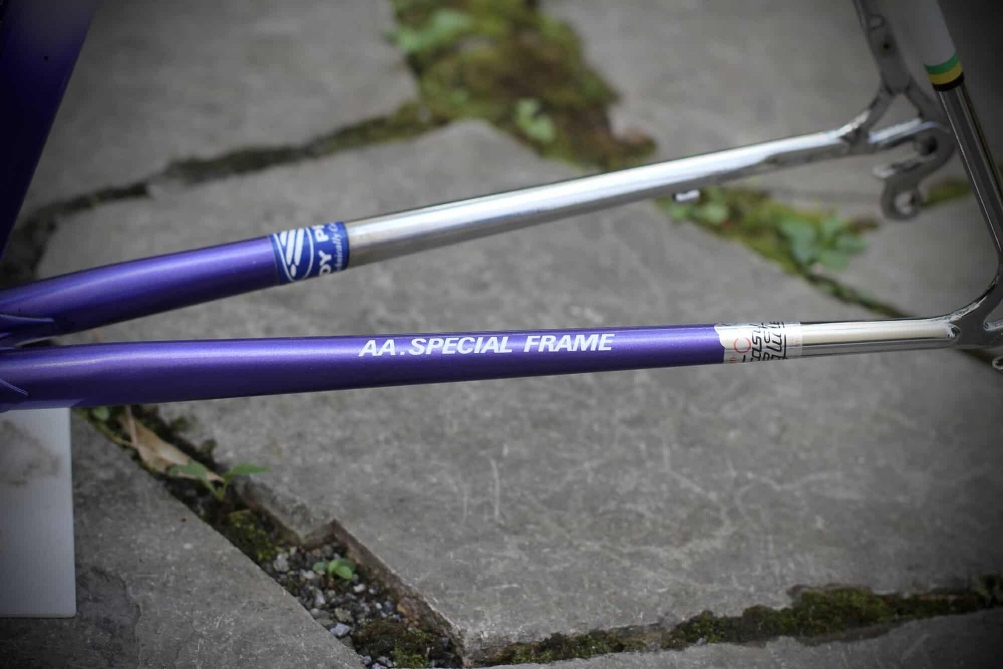 Gazelle Champion AA-Special Frame / 52.5 cm